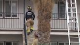 Suspected marijuana ‘grow room’ catches fire in Ocean Beach apartment: SDFD
