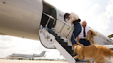 Bark Air, first airline for dogs, launching flights in May