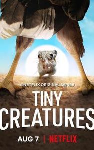 Tiny Creatures