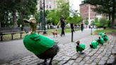 Photos: The 'Make Way for Ducklings' catch Celtics fever ahead of NBA Finals