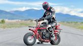 This CBR1000-Swapped Coleman Mini-Bike Is a Weird Way To Die