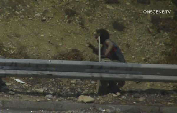 Homeless man seen on video throwing rocks onto 110 Freeway