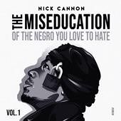 Miseducation of the Negro You Love to Hate