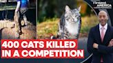 New Zealand Organises Annual Competition To Kill Cats |