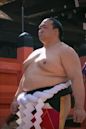 Kisenosato Yutaka