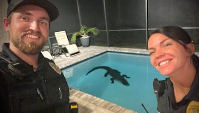 10-foot alligator 'made himself right at home' in New Smyrna Beach pool: 'Florida things!'
