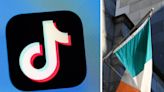 TikTok's codenamed 'Project Clover' is a push to win over European lawmakers as it faces a critical US ban