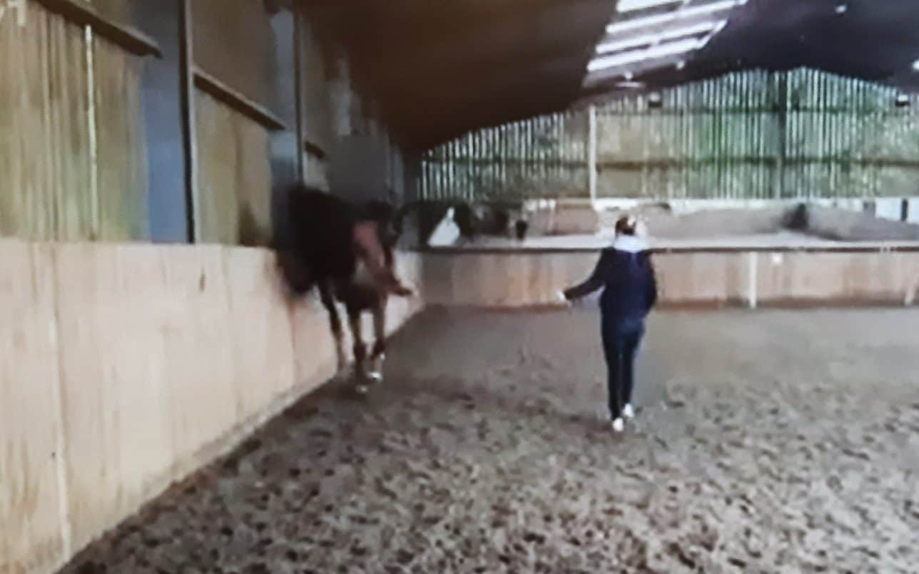 Video of Charlotte Dujardin whipping horse is shown on Good Morning Britain