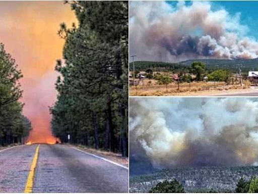 Voraz incendio en Rocheachi bloquea carretera