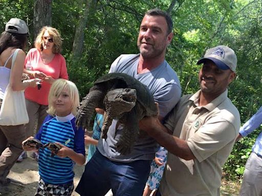 Liev Schreiber Shares How His Home Became an Animal Rescue: My Kids Are 'Completely Obsessed' (Exclusive)