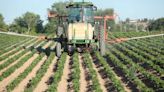 Pesticide widely used on produce but linked to mental disabilities in kids faces ban