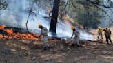 Liquidado, incendio de Guerrero; quedan 10 activos en el estado