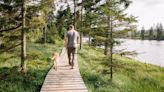 Trainer shares the secret to getting your dog to focus on you when you’re on a walk — and it’s really effective!