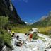 Milford Track