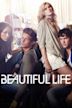 The Beautiful Life: TBL