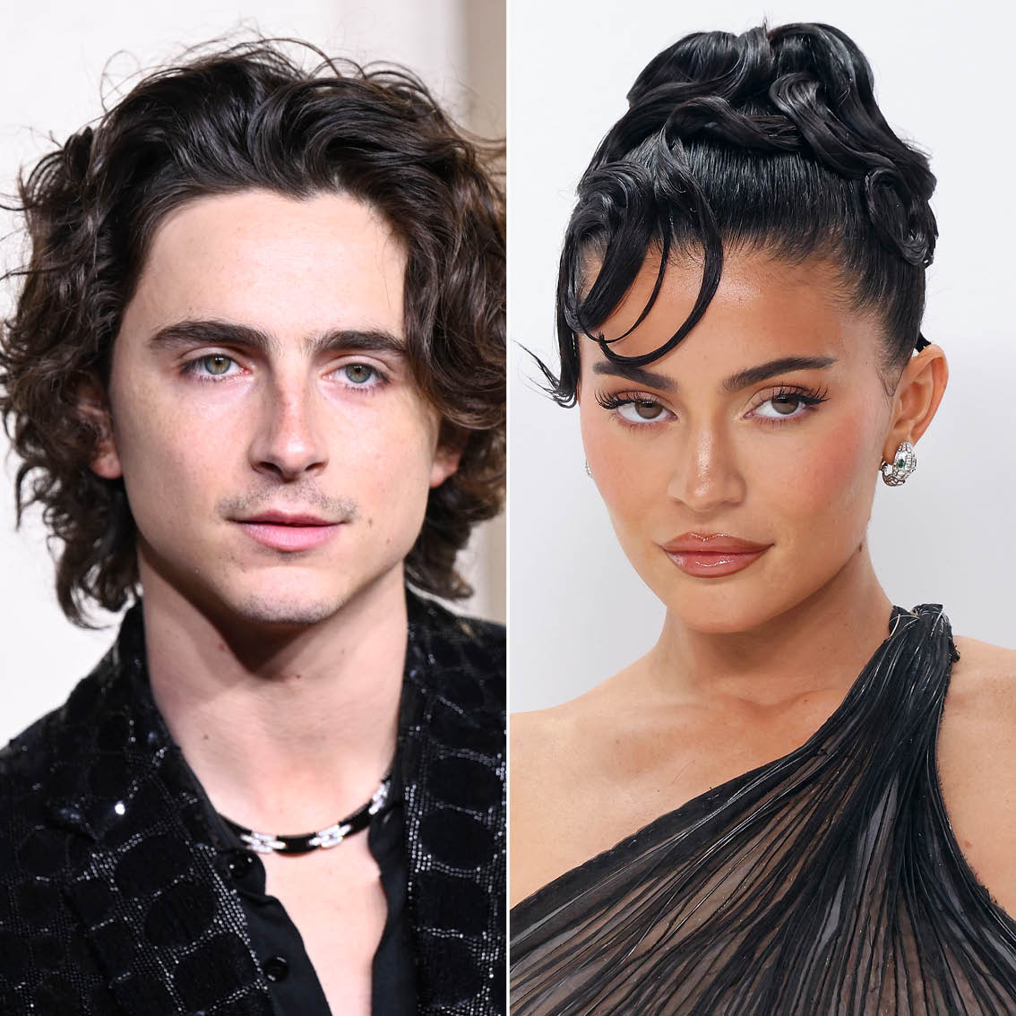 Kylie Jenner & Timotheé Chalamet Are Not Expecting a Baby, Sources Confirm
