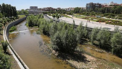 Más de 50.000 vecinos piden al Ayuntamiento que no instale iluminación nocturna en Manzanares