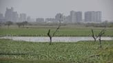 Groundwater table rose by 3m in Nilothi, Najafgarh: Report on Delhi lakes