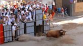 Mueren dos toros durante la celebración de los bous al carrer de el Puig