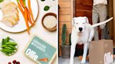 Ollie dog food deal: Save 50% on your first shipment of fresh Ollie dog food