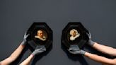 Rembrandt portraits that were privately held for nearly 200 years go on show in Amsterdam