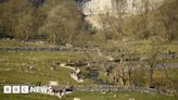 Yorkshire Dales: Councillor calls tourists 'the great unwashed'