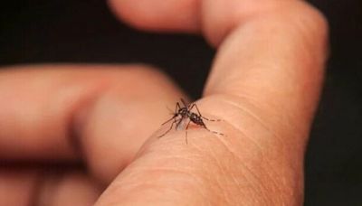 Dengue causa al menos 35 muertes en Centroamérica en 2024