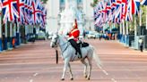 Conexión inmediata: reacción viral de caballo de la guardia real británica con una mujer