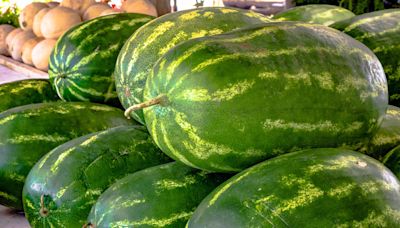 The Only Way To Tell When a Watermelon is Ripe, According to a Farmer