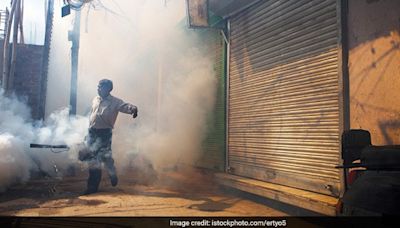 Delhi Sees Dengue Spike, Karnataka Offers Free Testing And Treatment | News