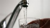 ¿Qué calidad tiene su agua? Cómo verificar si hay ‘productos químicos perennes’ y reducir las toxinas en la Florida