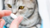 Company pleads guilty to misbranding veterinary prescription drugs