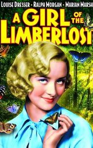 A Girl of the Limberlost