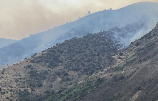 Hundreds of firefighters tackle Durkee Fire in eastern Oregon, the largest wildfire in US