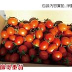 樂活商行 鹽地帥哥小蕃茄 5台斤 入口香甜帶點微酸 香醇回甘 茄紅素比一般蕃茄還高出接近兩倍 不二果匠