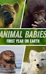 Animal Babies: First Year on Earth