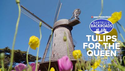 San Francisco's Dutch windmill helped turn dunes into tulip gardens | Bartell's Backroads