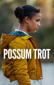 Possum Trot