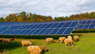 Could Thurso be in line for the far north’s first solar farm?