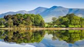 Ancient rainforest becomes first to receive national nature reserve title: 'Mysterious and untouched'