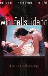 Twin Falls Idaho (film)