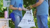 World Environment Day cleanup event is Saturday