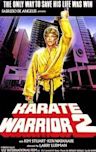 Karate Warrior 2