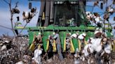 With Colorado River water cuts, some Pinal farmers drill wells. For others, fields sit dry