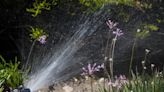 Surviving SoCal's unprecedented water restrictions: A simple, no-nonsense guide