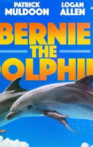 Bernie the Dolphin 2