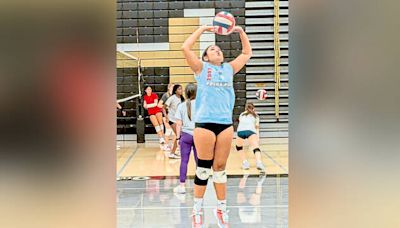 Gateway girls volleyball leans on large senior class under 1st-year coach | Trib HSSN