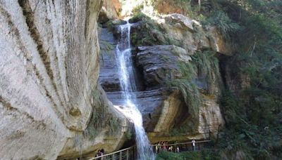 嘉義瑞峰遊必探三景：瀑布觀奇、竹林漫遊、茶園賞景