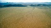 Are there any 'fairy circles' in the US? Sadly, new study says no.