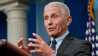 Fauci to speak at MSU spring commencements